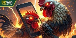 App Đá Gà