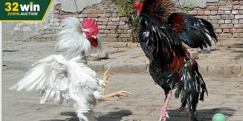 Đội ngũ chăm sóc khách cược chuyên nghiệp